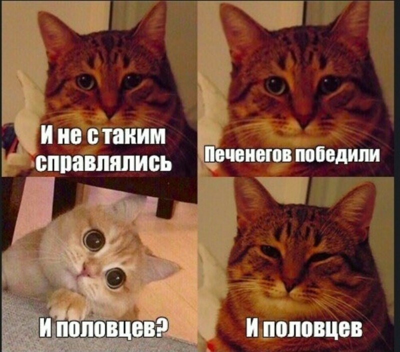 карантин.jpg