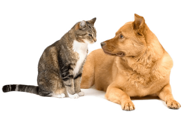 Попытки определения.png