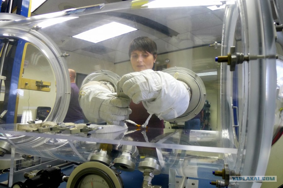 Сферические люди в вакууме.jpg