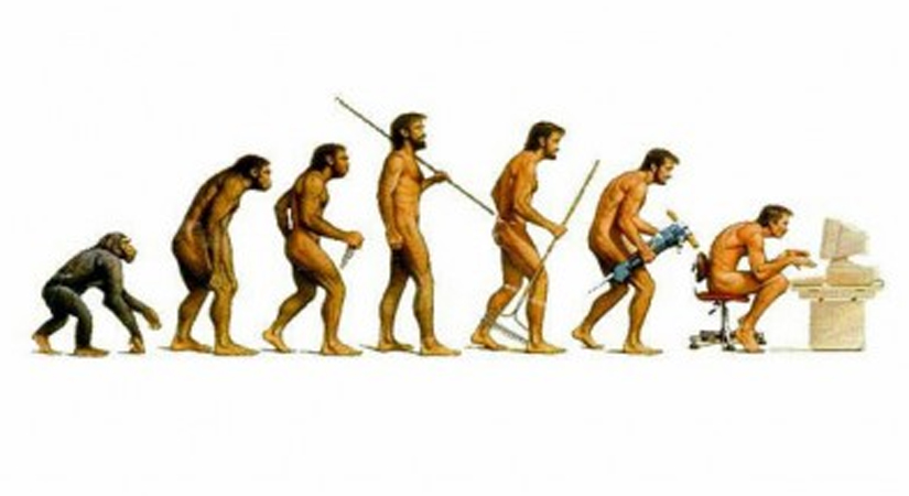 Социальная эволюция.jpg